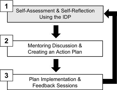 The use of the individual development plan at minority serving institutions